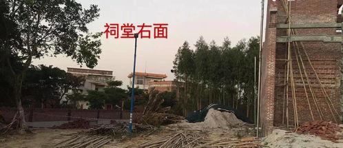 宜黄县媒体爆料最新消息,重大事件引发社会关注 第1张 宜黄县媒体爆料最新消息,重大事件引发社会关注 第1张